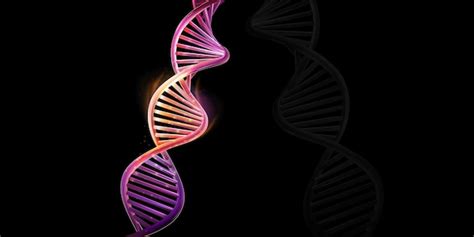 Modelo de dupla hélice de dna em um fundo preto Vetor Premium