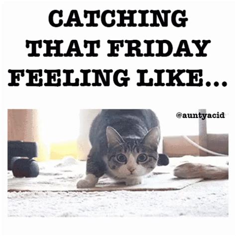 Catching that friday feeling like... friday friday quotes friday gif ...