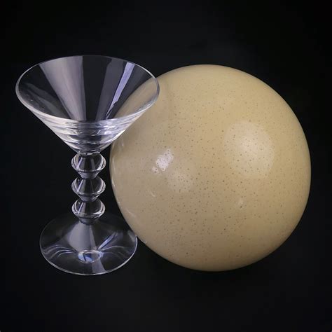 Wild Ostrich Egg On Baccarat Crystal Cup South Africa Cabinet Of Curiosities Object Of Curiosity