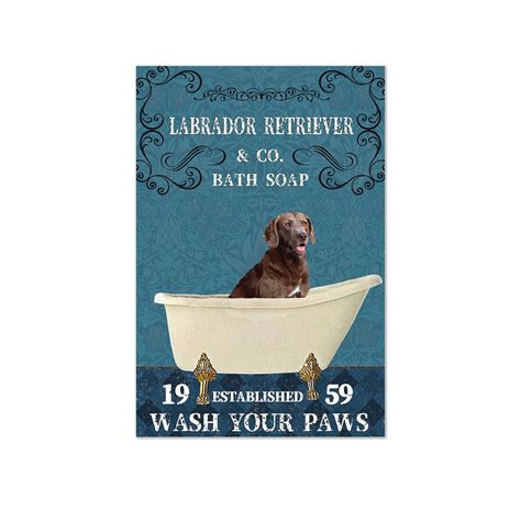 How Often Can You Wash A Lab Puppy at Denise Feliciano blog