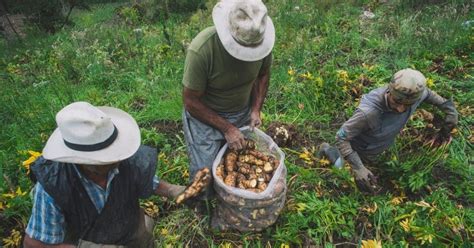 Campesinos De Cajamarca Buscan Apoyo De La Onu Para Defenderse De