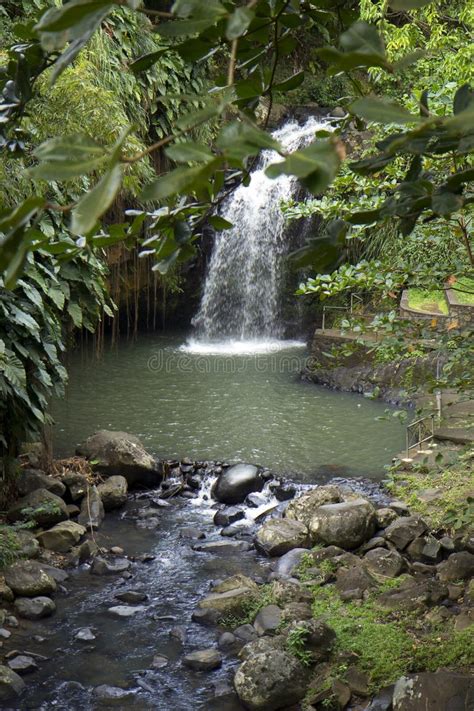 Grenada Waterfalls Stock Photos - Free & Royalty-Free Stock Photos from ...