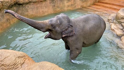 【周南オープン】 周南市徳山動物園 に、アジアの熱帯雨林ゾーンが誕生！ 地元情報誌が山口県を深堀していくウェブマガジン