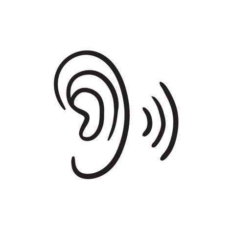 Human Ear Sketch Stock Photos, Pictures & Royalty-Free Images - iStock