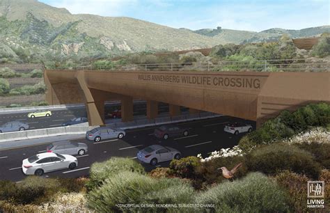 Worlds Largest Wildlife Crossing Begins Construction In Los Angeles