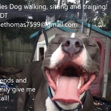 Julie Thomas’s Dog sitting, Training and walking service | Holmdel, NJ Business Directory