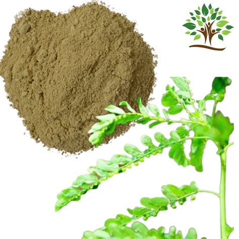 Brown Amla Herbal Extract Form Powder Packaging Size Kg At Rs