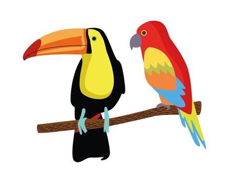 Wild Tropical Parrot And Toucan Birds Nature Icon Vector Art At