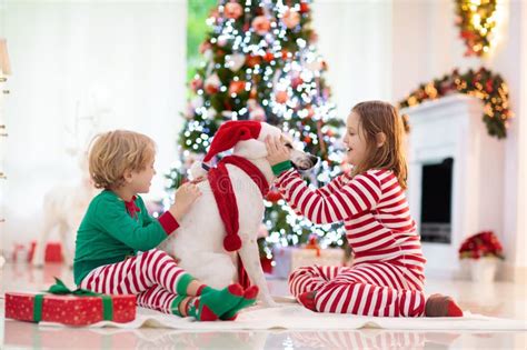 Navidad En Casa Ni Os Y Perros Bajo El Rbol De Navidad Foto De