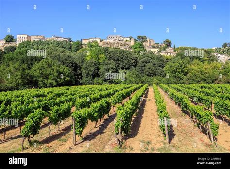 La France Vaucluse parc naturel régional du Luberon Ménerbes