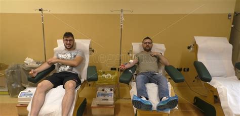 Giornata Del Donatore Di Sangue A Reggio Vincenzo E Francesco Donare