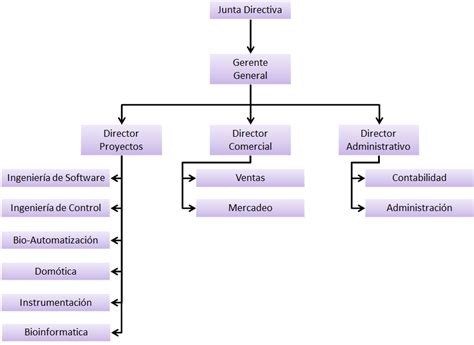 Organigrama De Empresa Que Tipos Existen Y Para Que Sirven Modelo Images