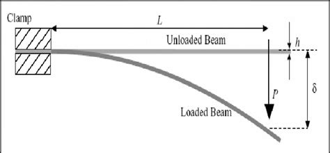 Anatomy Of A Cantilever Beam