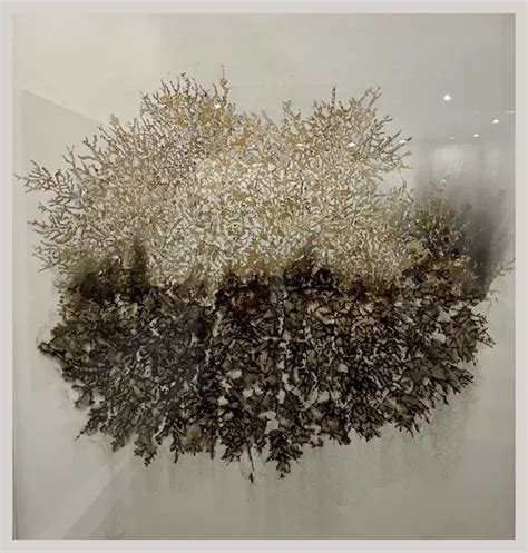 mysore contemporary modern art  innovarium paintings