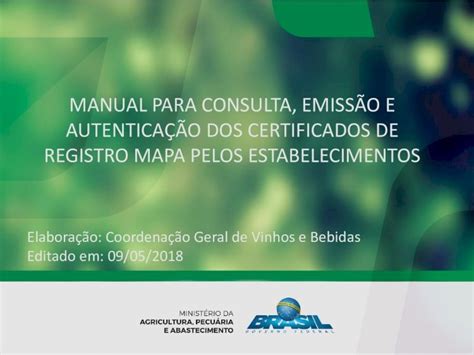 Pdf Manual Para Consulta Emiss O E Autentica O Dos Registro