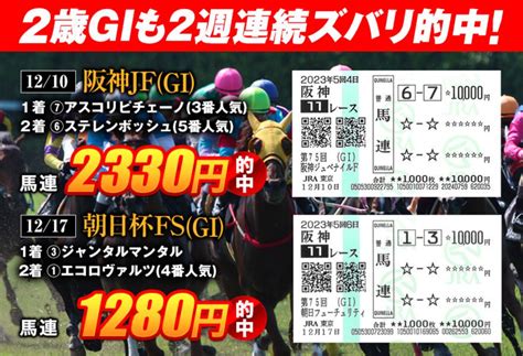 【有馬記念はｱﾉ穴馬が制す】 馬ん福の競馬予想ブログ