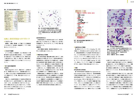 Cap 2023年11月号 株式会社 緑書房