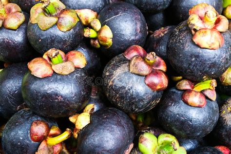 Mangosteen Thai fruit stock photo. Image of health, basket - 21514702