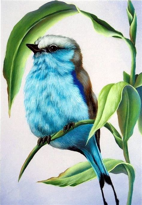 40 Color Pencil Drawings to Fill Your Heart with Joy