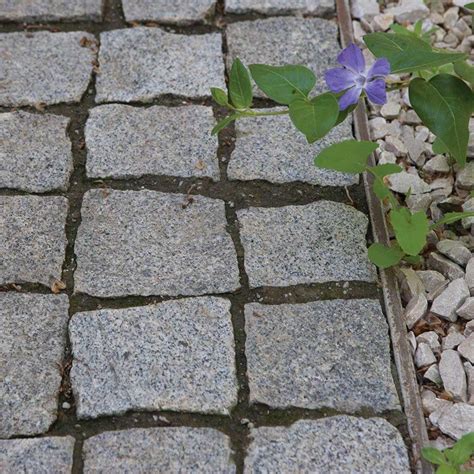 Grey Granite Splitface Cobblestone X X Cm Ton Sqm