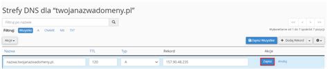 Jak Doda Rekord A W Cpanel Domenomania Pl