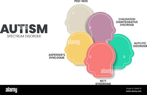 Le Mod Le De Pr Sentation De L Infographie Sur Les Troubles Du Spectre