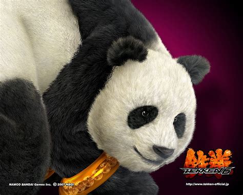 Panda Fighting Action Fighter Tekken 6 Video Game Adventure