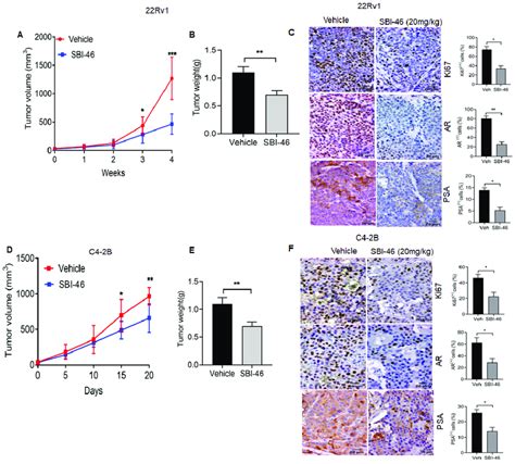 Sbi Potently Suppresses Pca Xenografts Tumor Growth In Nude Mice