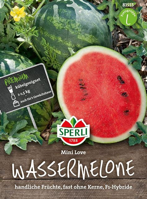 Sperli Premium Wassermelone Samen Mini Love Schnellwachsend