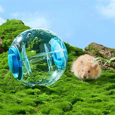 Dwarf Hamster Ball