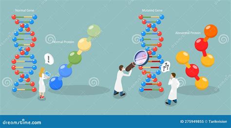 Genetic Mutation Normal Dna And Helix With Mutated Gene Cartoon Vector