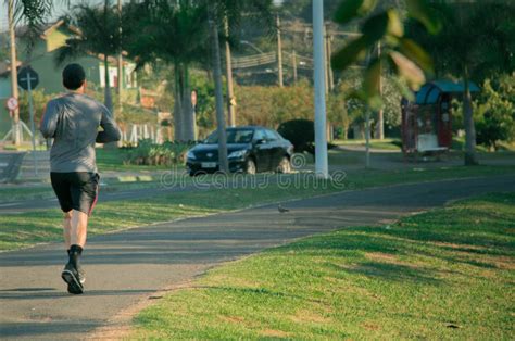 Équipez Pulser Au Parc Pendant Le Matin Représentation D un Mode De Vie