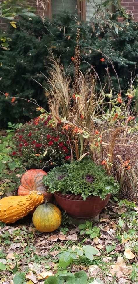 Pin By Deb Hegemann On Planters Made By Me Pumpkin Patch Pumpkin Plants