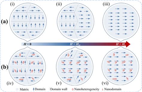 The Schematic Illustration Of Magnetization Processes For Homogeneous Download Scientific