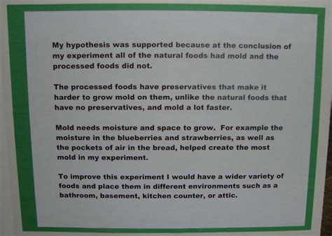 Bread Mold Experiment Worksheet