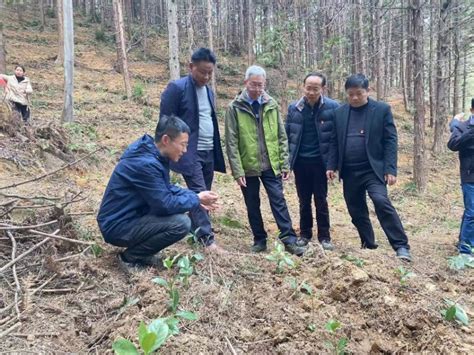 江西省林科院与安福县北华山林场开展党建联建主题活动 Isenlincn