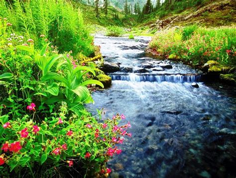 Beautiful Waterfalls Landscape Waterfalls Flowers Water Rocks