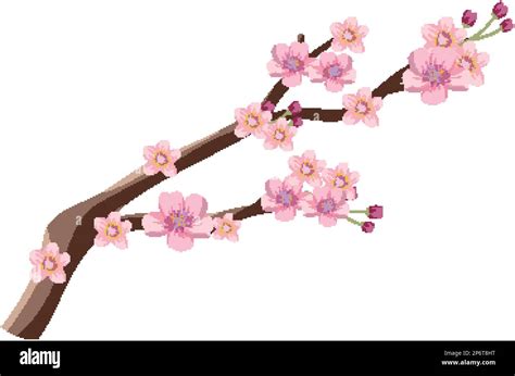 Japanese Cherry Blossom Vector Graphic illustration Stock Vector Image ...