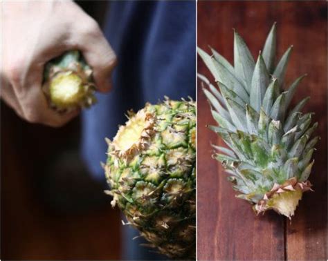 How To Plant A Pineapple Top Tutorial With Pictures Artofit