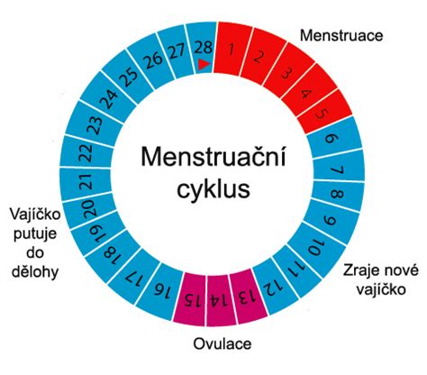 Bolestivá menstruace I Top women