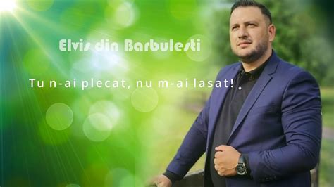 Muzica Domnului Elvis Din Barbulesti Tu N Ai Plecat Nu M Ai