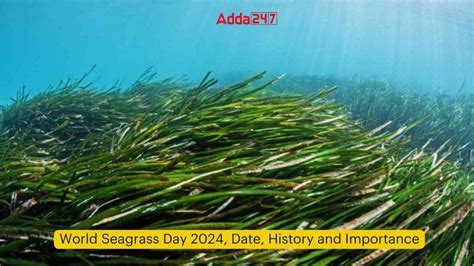 World Seagrass Day 2024 Date History And Importance