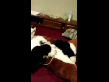 Female Fox Hotntubes Porn