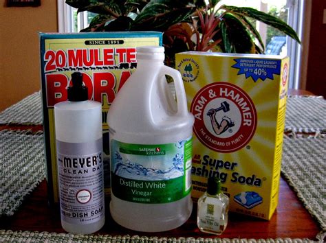 Always Learning Non Toxic Sanitizing All Purpose Cleaner