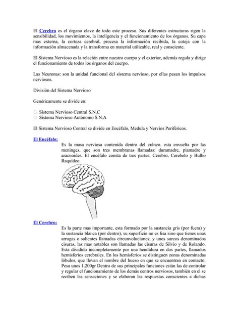 Sistema Nervioso PDF Descarga Gratuita