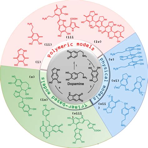 通过表面吸附形成聚多巴胺的新见解nature Communications X Mol