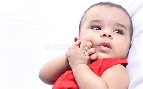 portrait  indian baby stock image image  child health