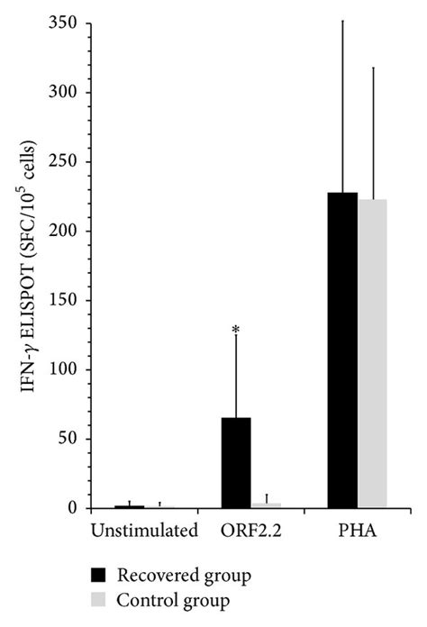 Ifn Elispot Responses In Hev Recovered And Control Groups Ifn