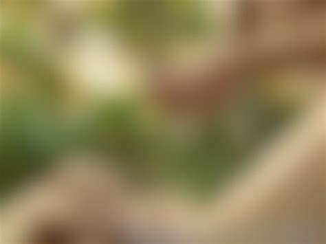 Ass Fucking In The Garden Video Porno Gratis YouPorngay