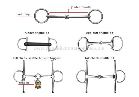 Sports And Games Equestrian Sports Riding Snaffle Bit Image